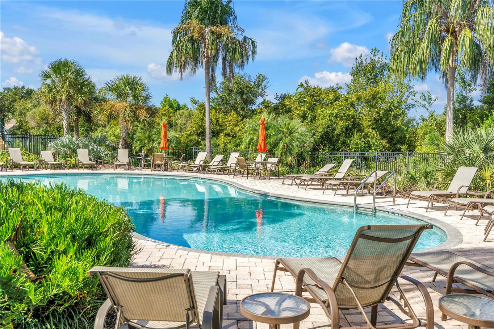 Image 67 of 74 For 27094 Carolina Aster Drive