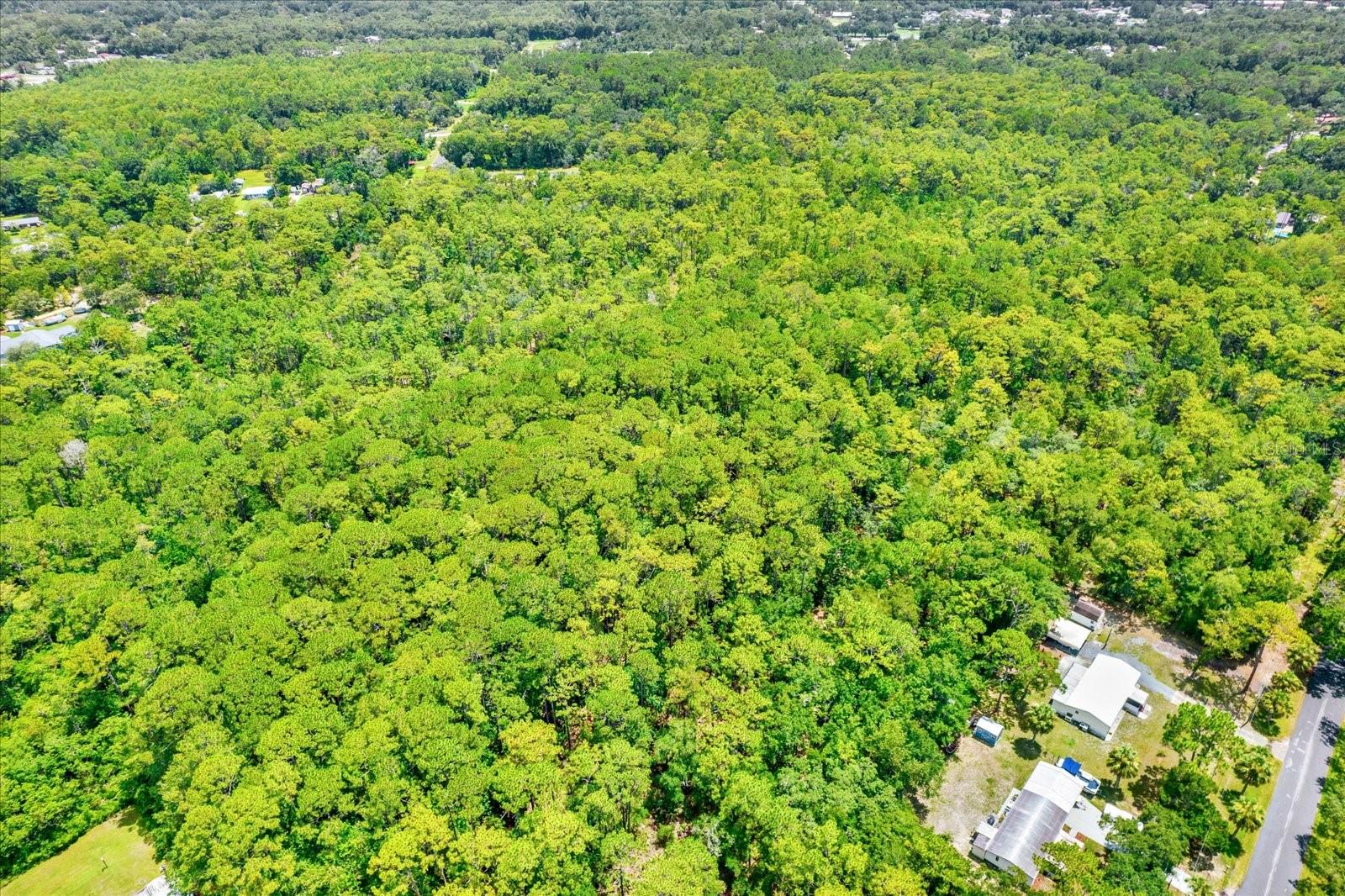 Image 4 of 15 For 7947 Luxemburg Lane