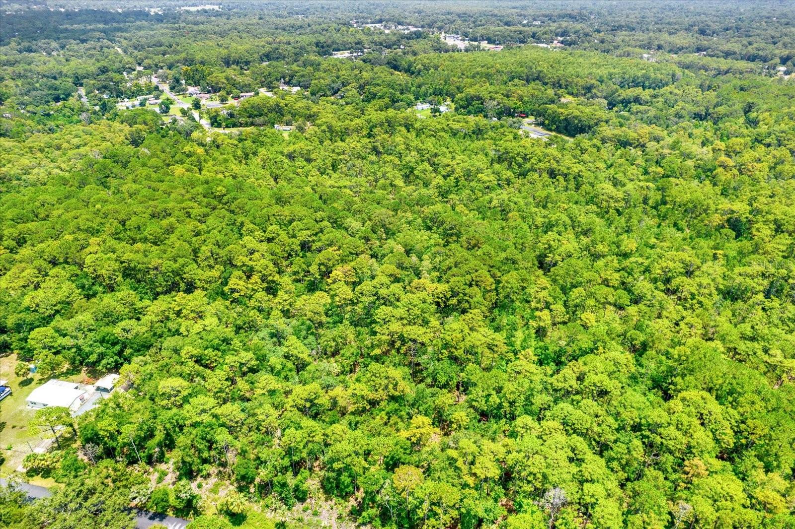 Image 5 of 15 For 7947 Luxemburg Lane