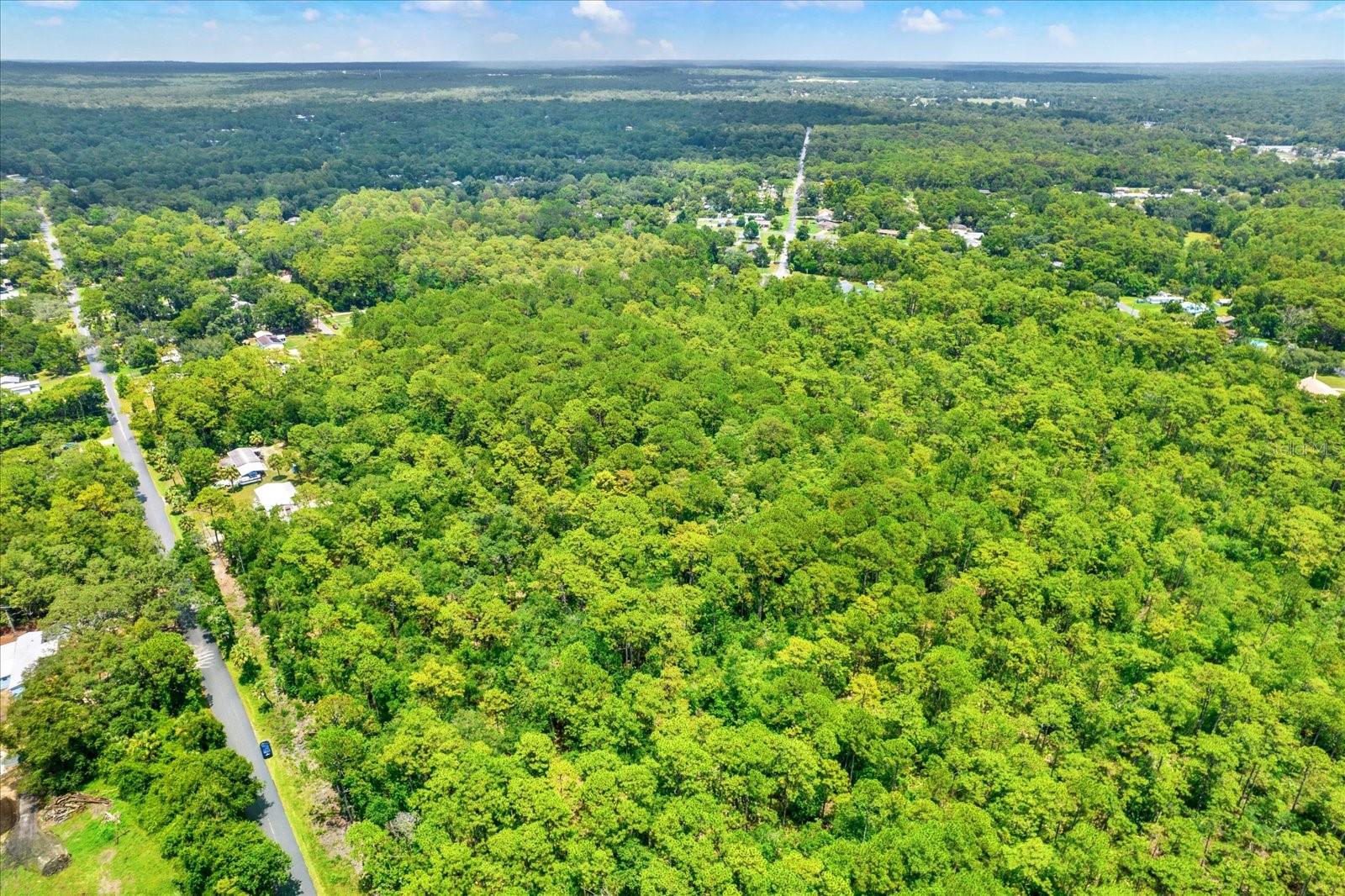 Image 7 of 15 For 7947 Luxemburg Lane