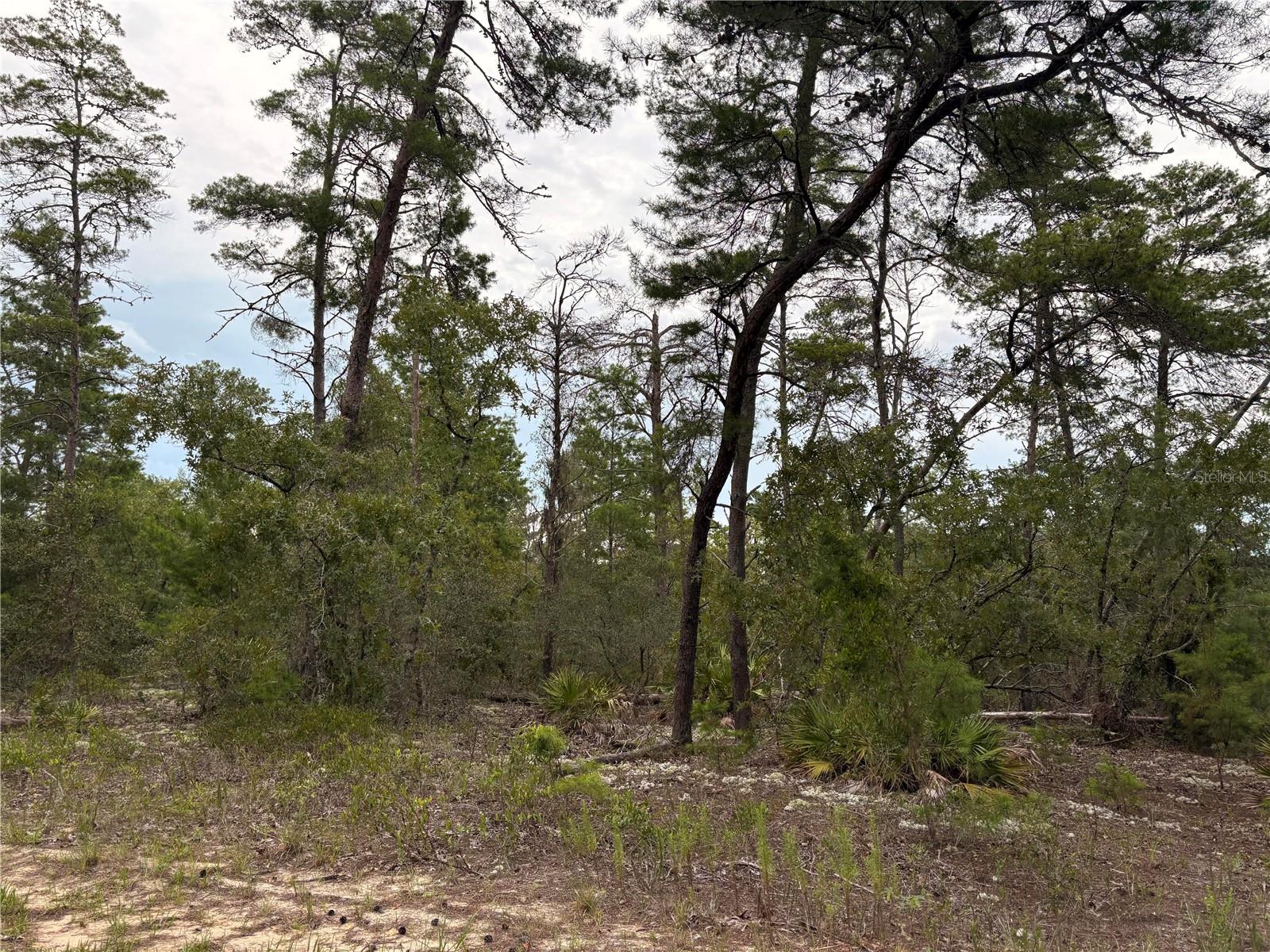 Details for 27 Statice Court, HOMOSASSA, FL 34446