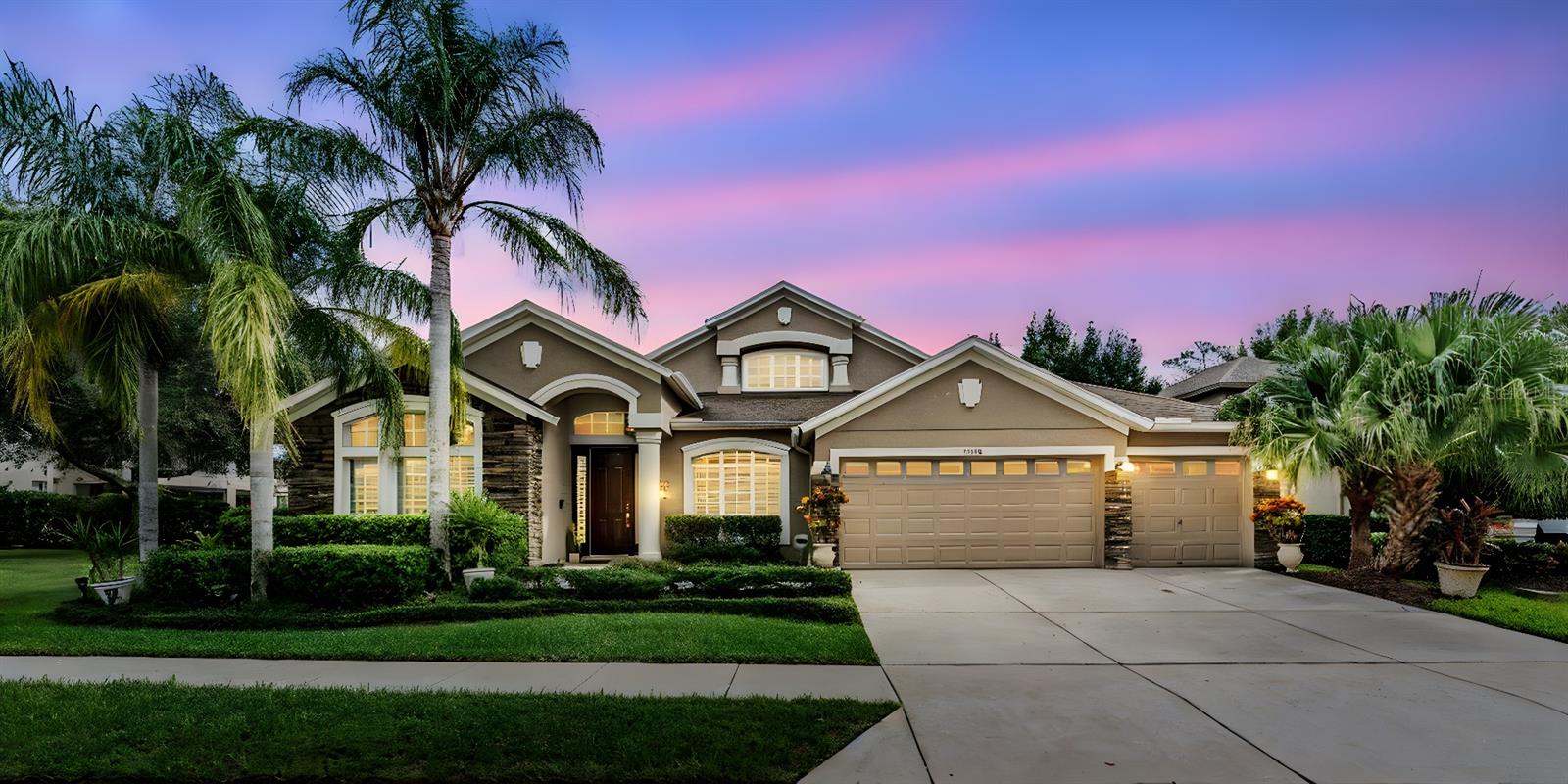 Details for 15208 Wind Whisper Drive, ODESSA, FL 33556