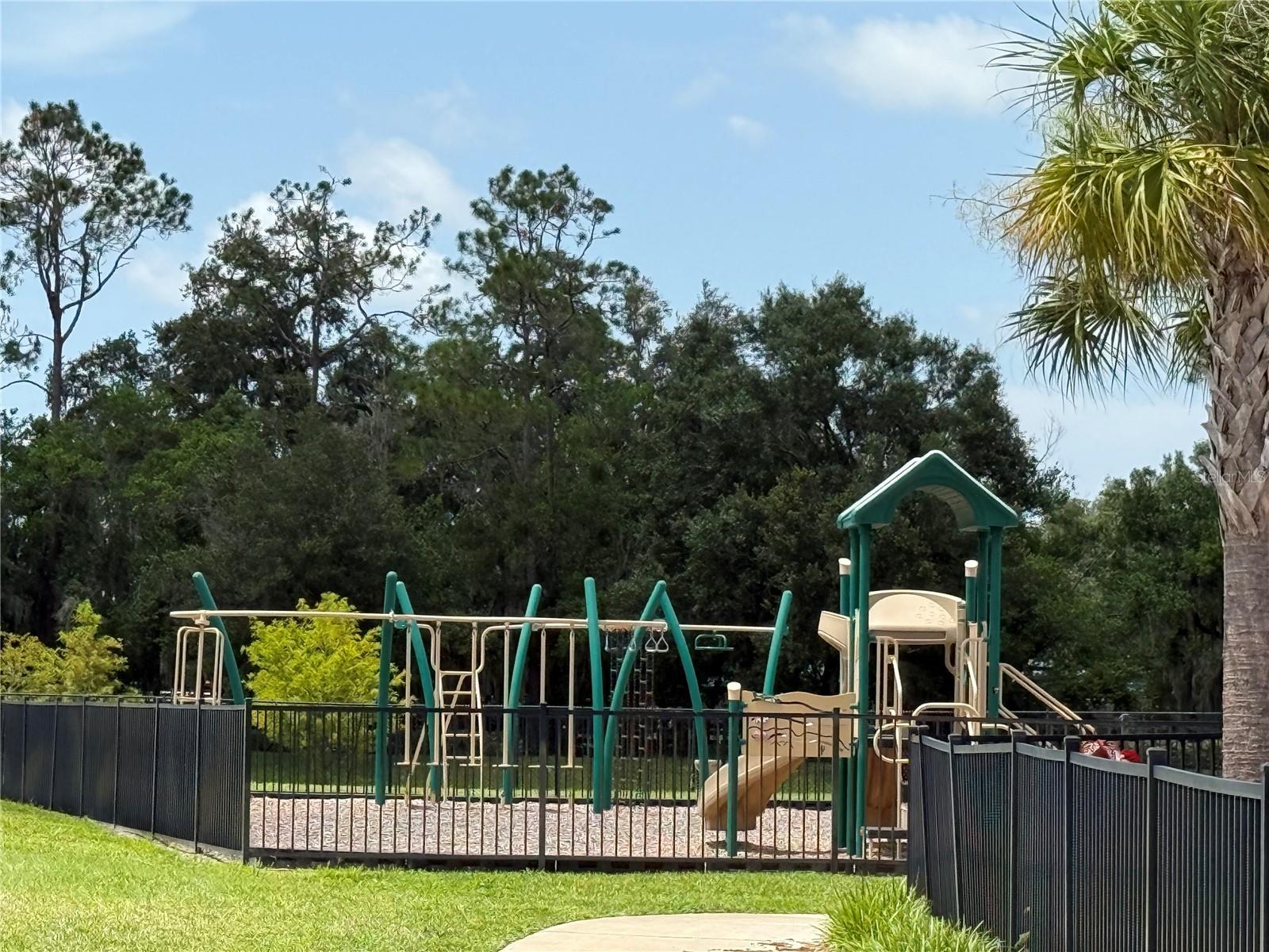 Image 55 of 60 For 18359 Cortes Creek Boulevard
