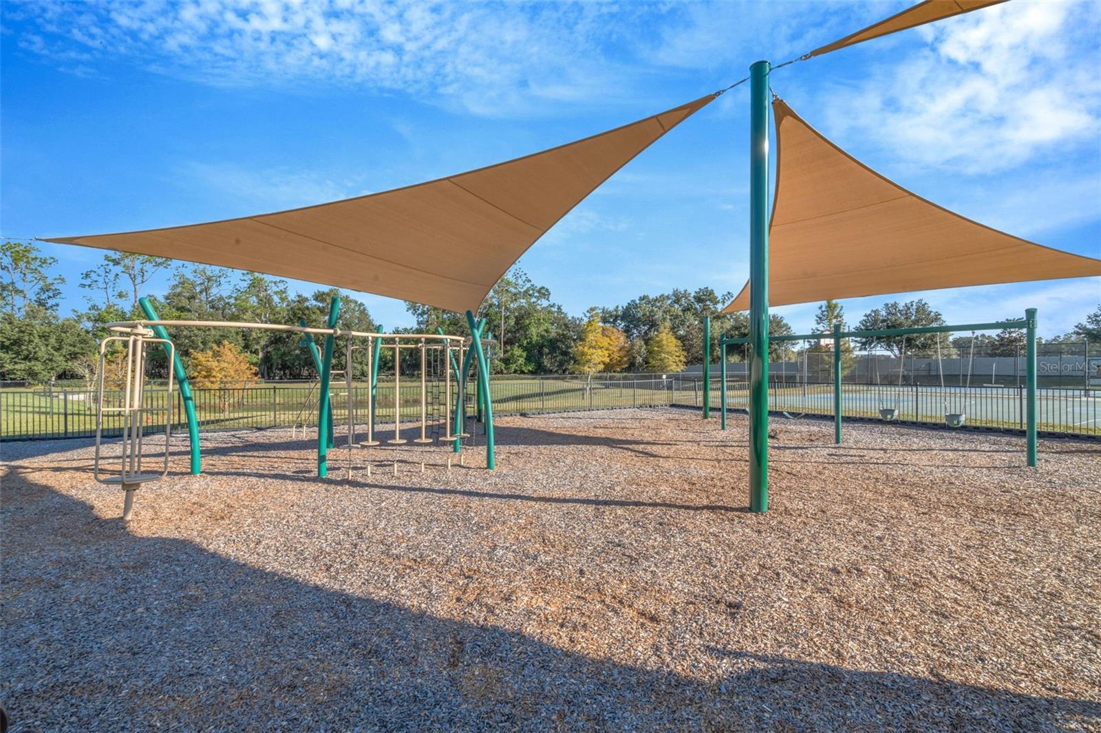 Image 62 of 73 For 18359 Cortes Creek Boulevard