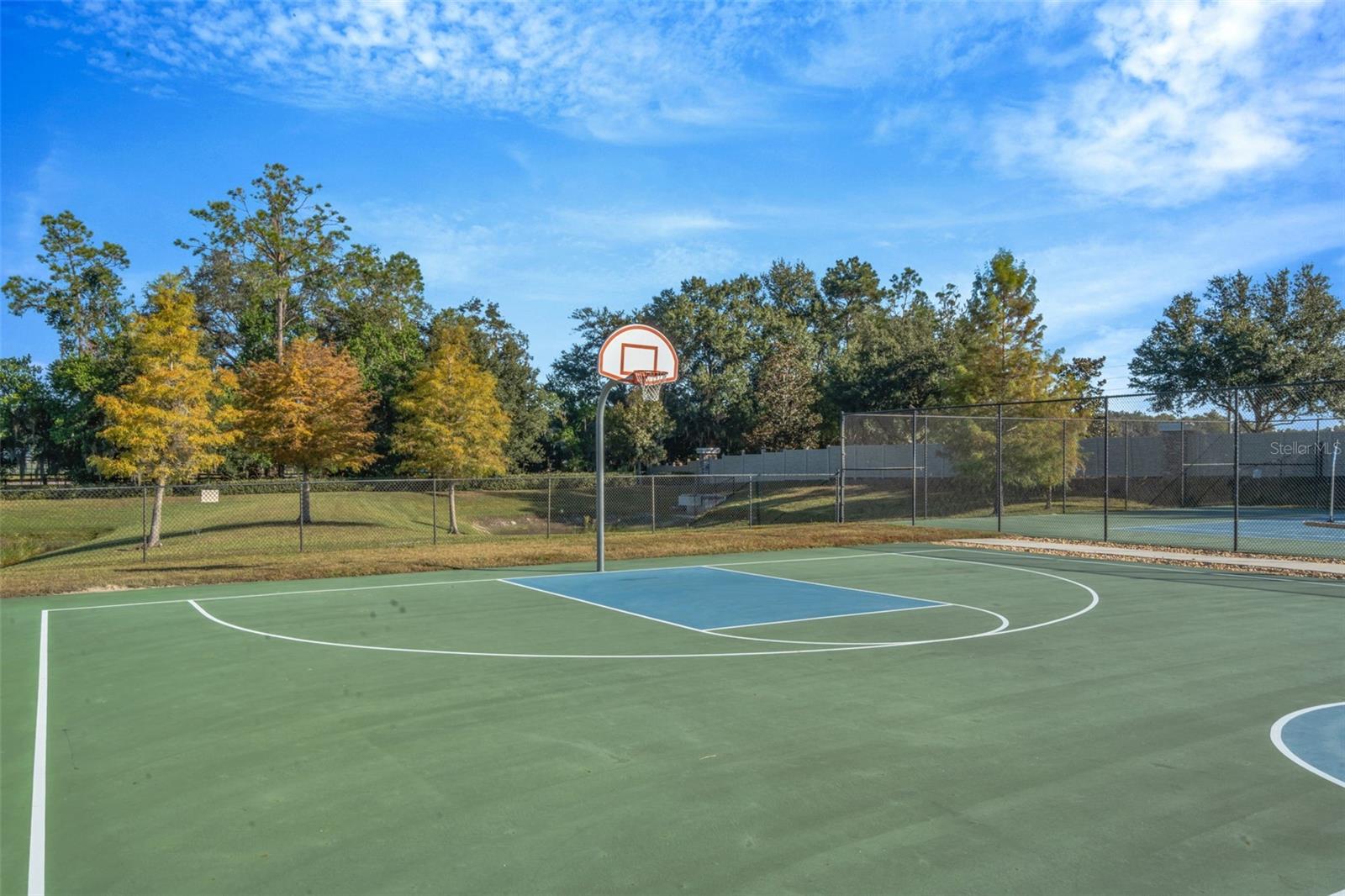 Image 63 of 73 For 18359 Cortes Creek Boulevard