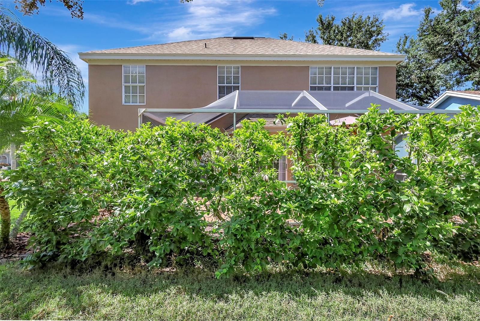 Image 38 of 64 For 9422 Oak Meadow Court