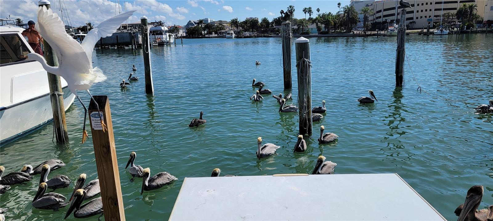Image 64 of 74 For 2019 Del Betmar Road