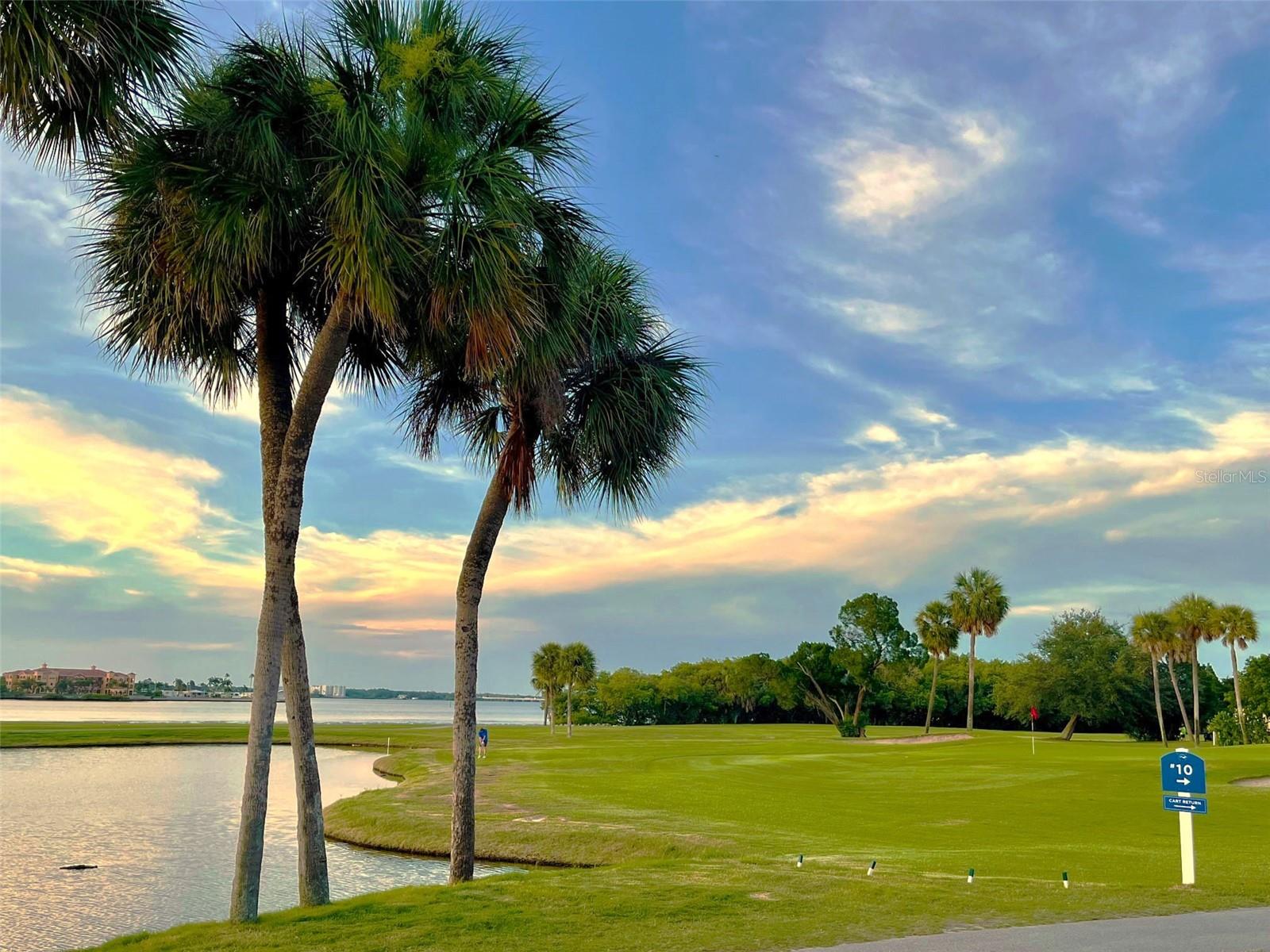 Image 68 of 71 For 2617 Cove Cay Drive 404