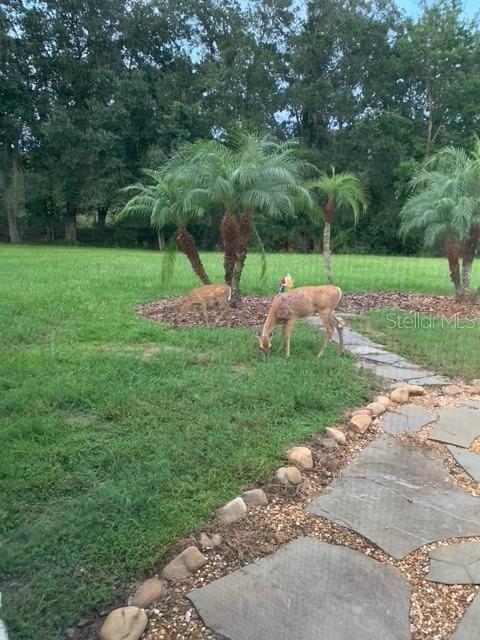 Listing photo id 3 for 2841 Banyan Hill Lane