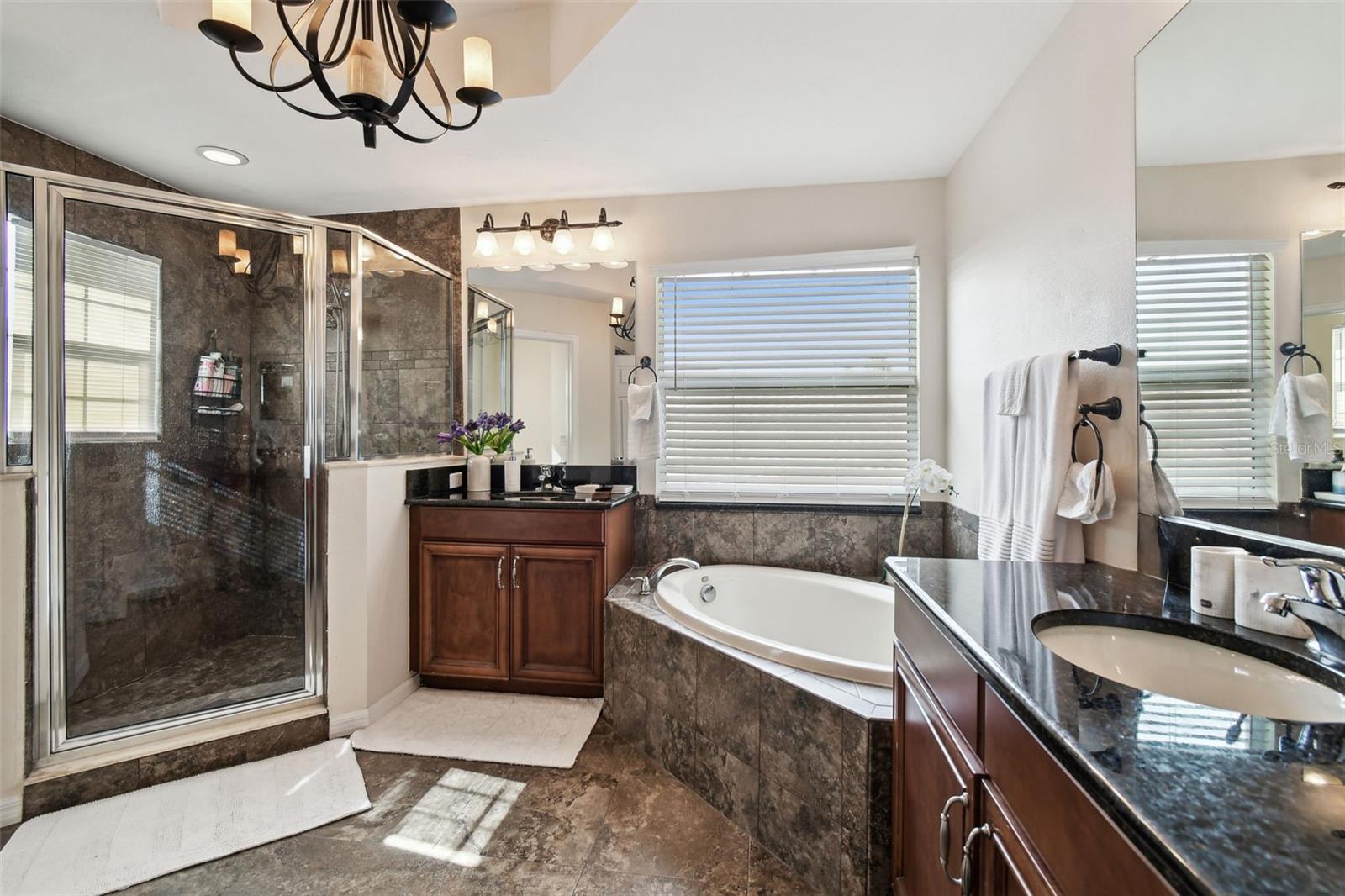 Image 44 of 99 For 8542 Eagle Brook Drive