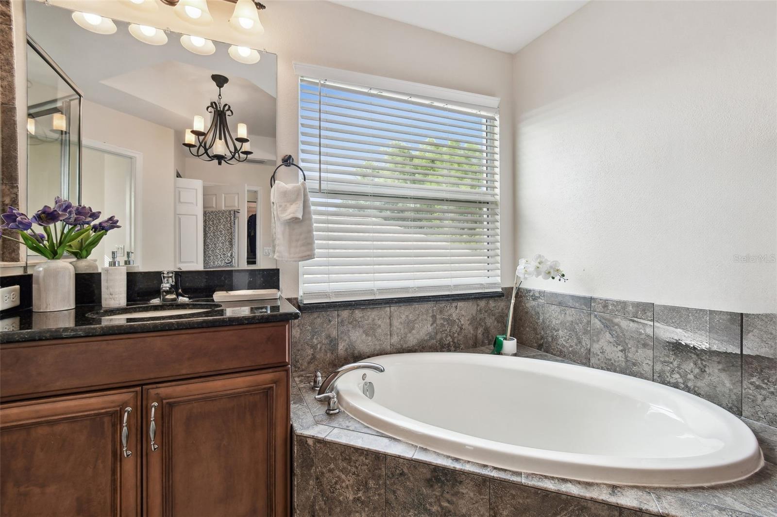 Image 47 of 99 For 8542 Eagle Brook Drive