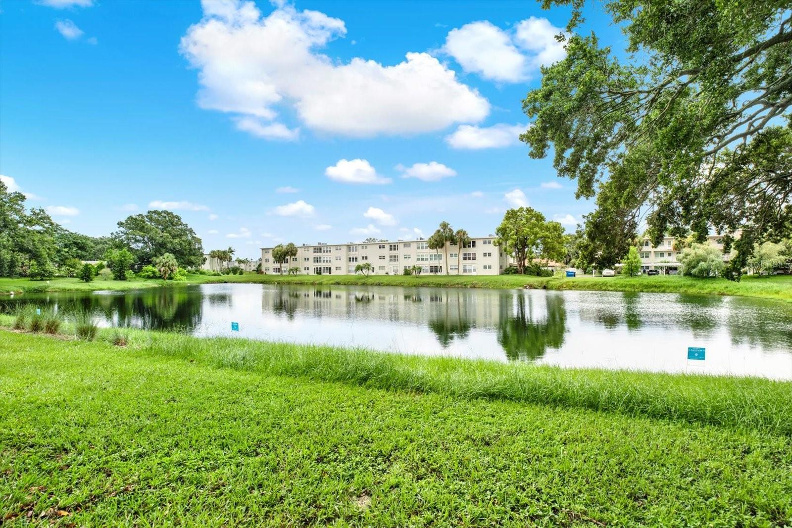 Image 29 of 32 For 863 De Soto Court 863