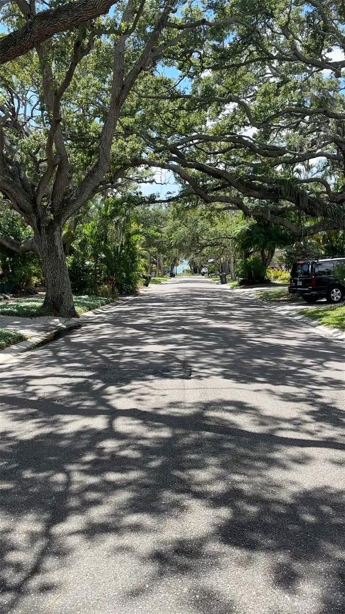 Image 8 of 98 For 2900 Park Street N