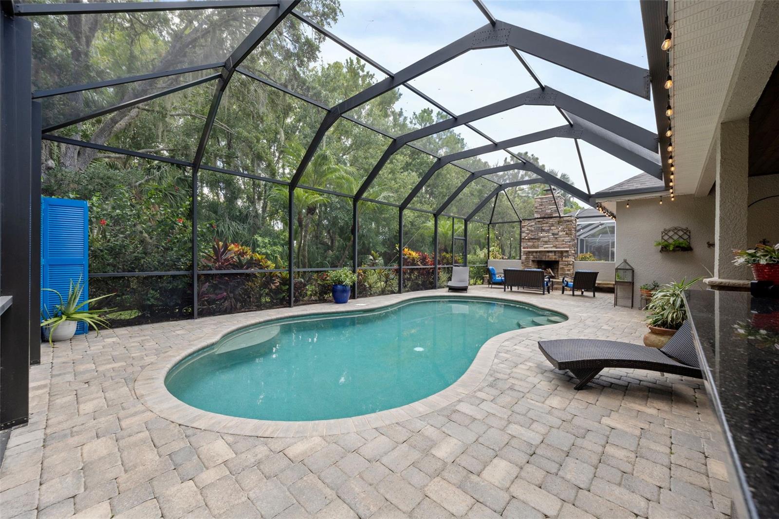 Image 50 of 62 For 11639 Renaissance View Court