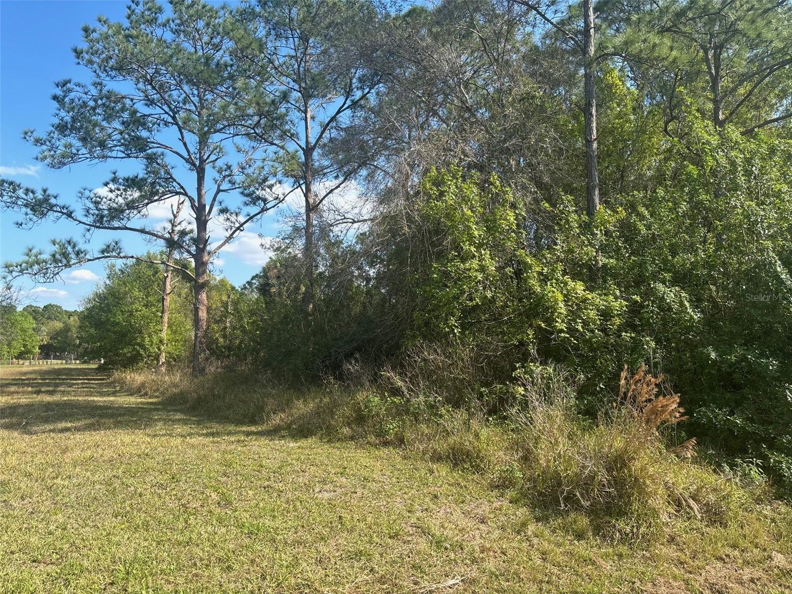Image 3 of 4 For 645 Quebrada Street