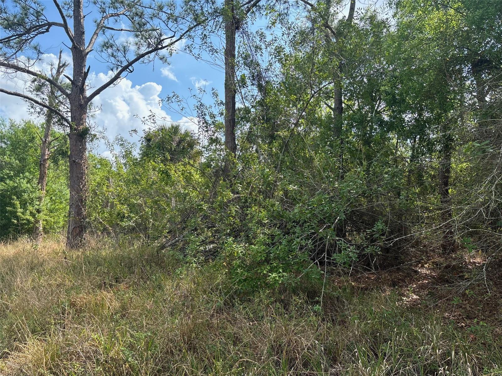 Image 4 of 4 For 645 Quebrada Street