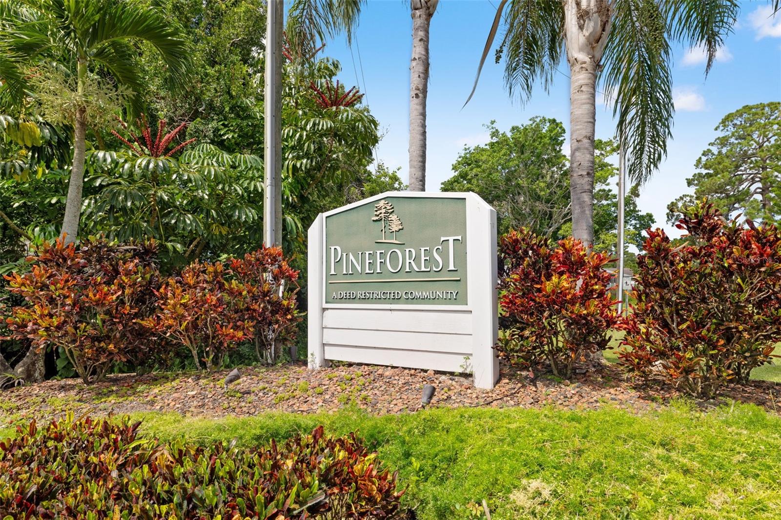 Image 46 of 48 For 12645 Pineforest Way E