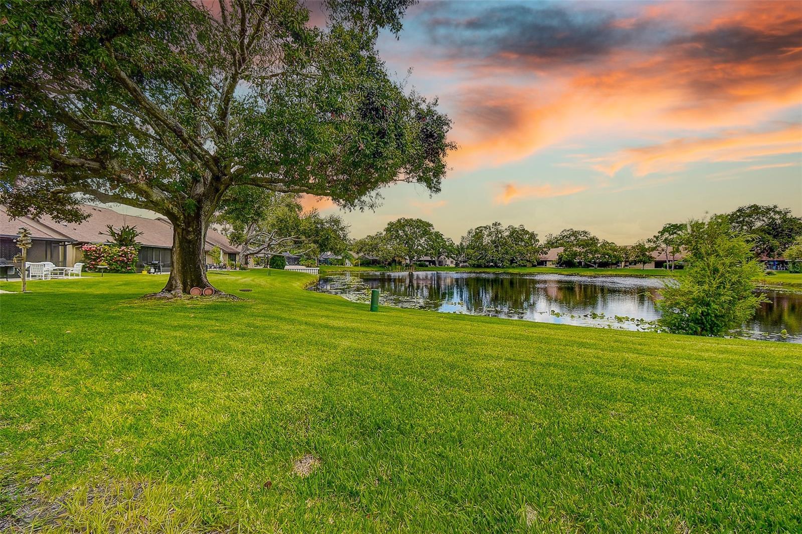 Image 35 of 38 For 9915 Lake Seminole Drive W