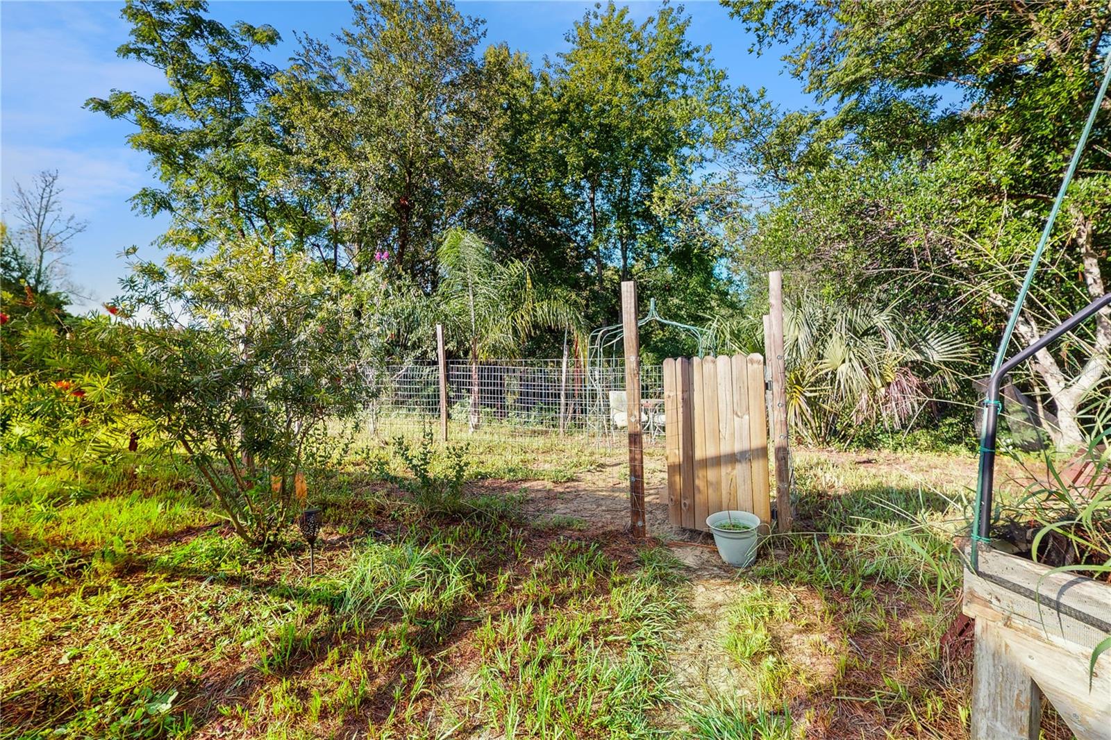 Listing photo id 22 for 8278 Spring Hill Drive