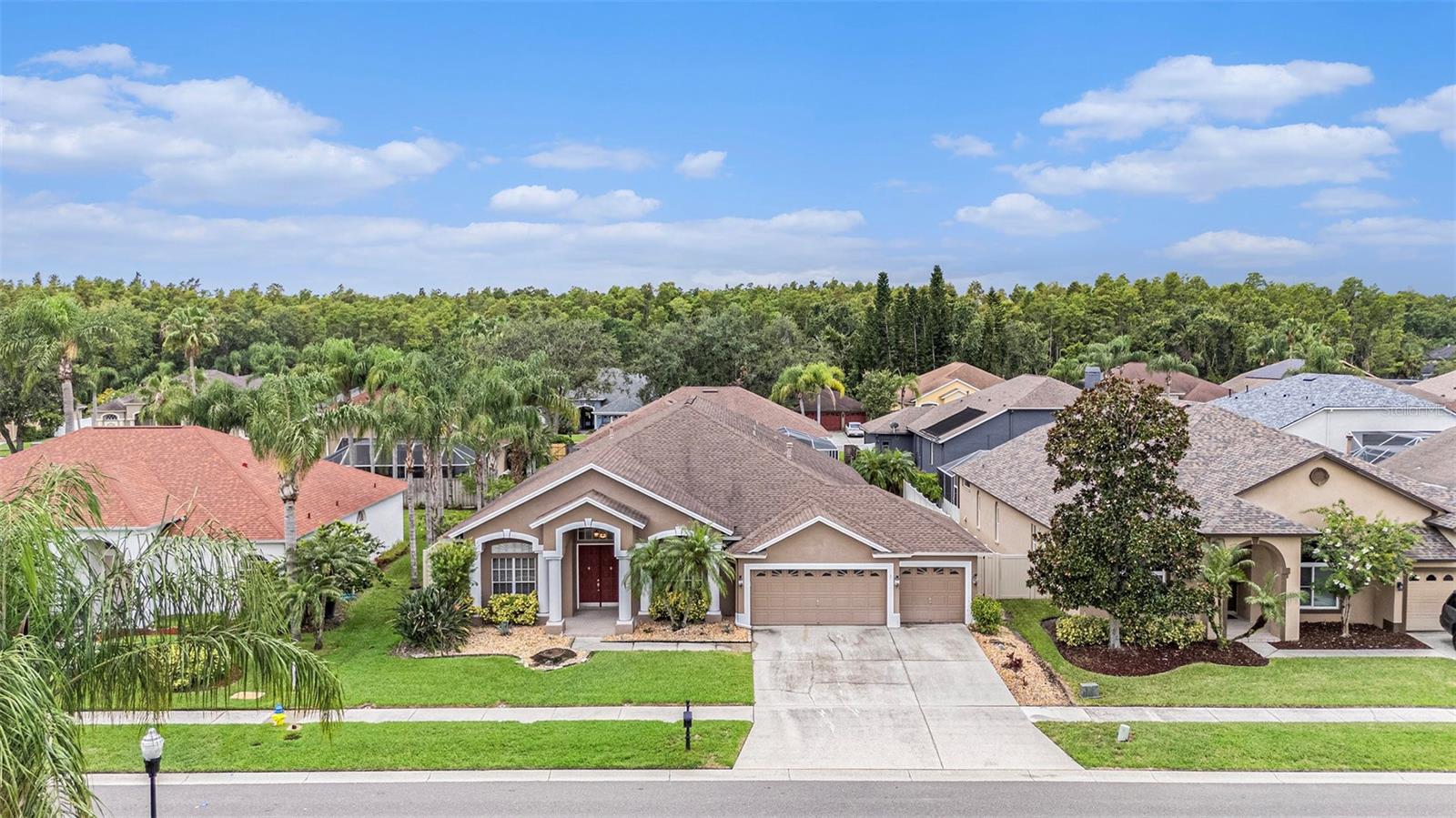 Details for 10019 Oxford Chapel Drive, TAMPA, FL 33647