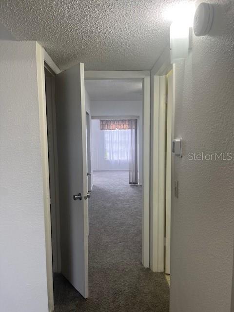 Listing photo id 8 for 2360 Irish Lane 50