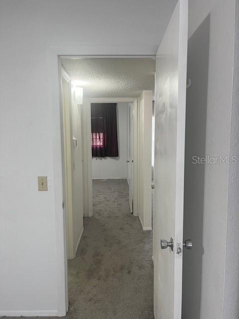 Listing photo id 4 for 2360 Irish Lane 50