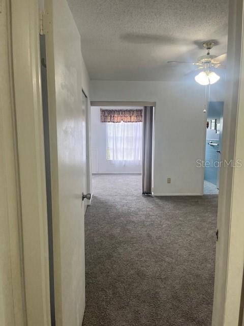 Listing photo id 5 for 2360 Irish Lane 50