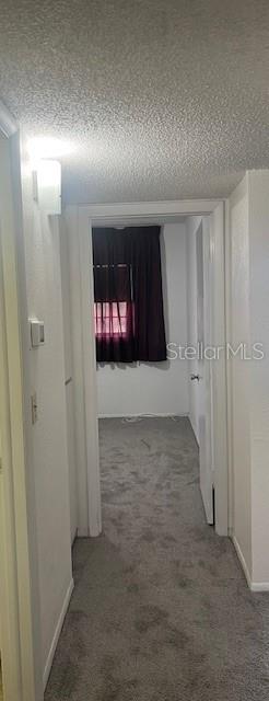 Listing photo id 7 for 2360 Irish Lane 50