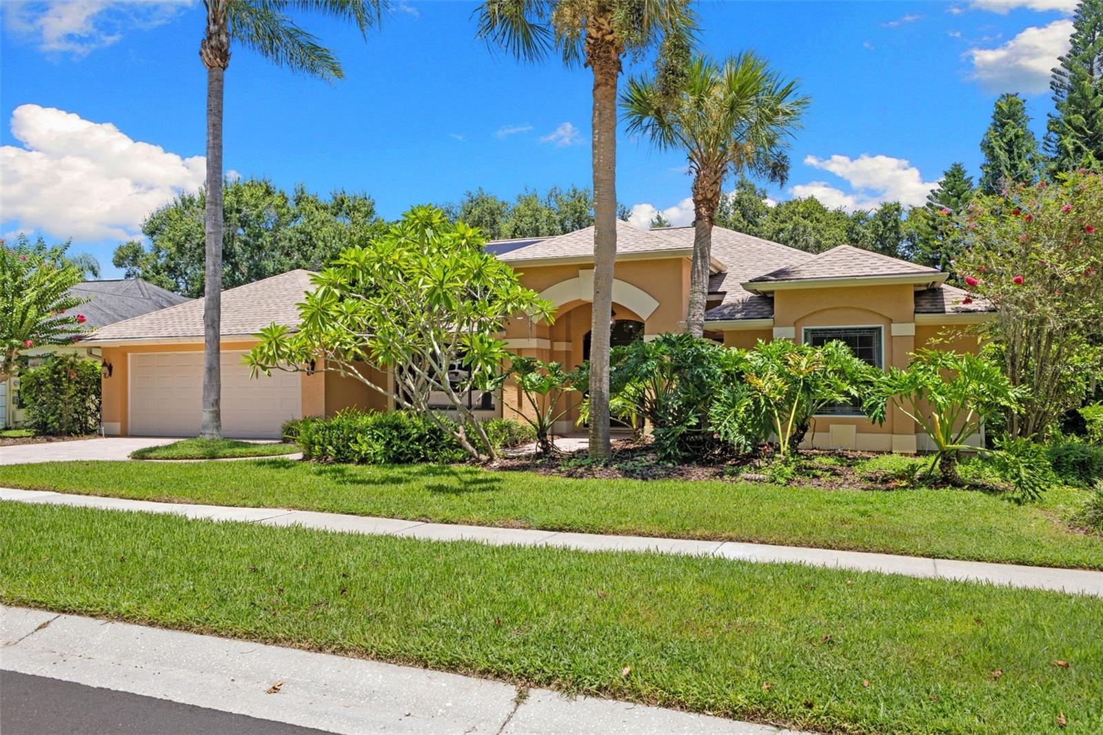 Details for 3275 Cobbs Drive, PALM HARBOR, FL 34684