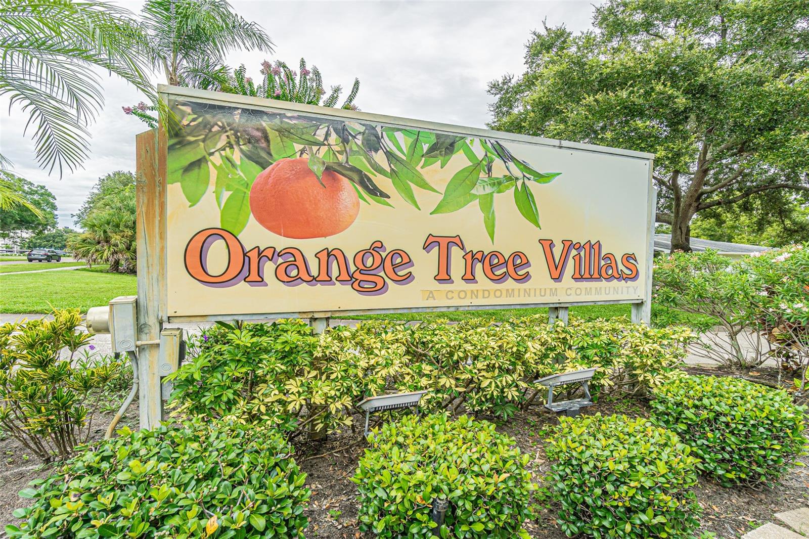 Image 24 of 32 For 1130 Orange Tree Circle W C