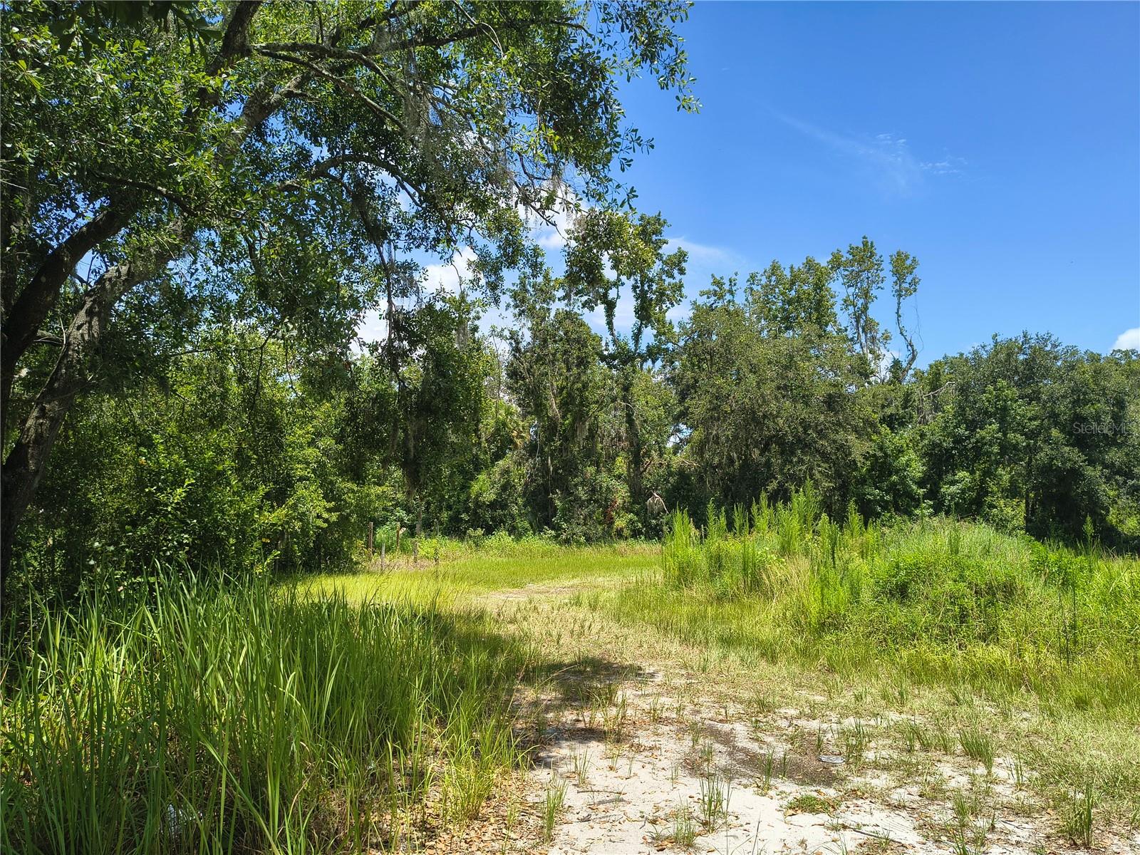 Image 3 of 15 For Willie White Lane