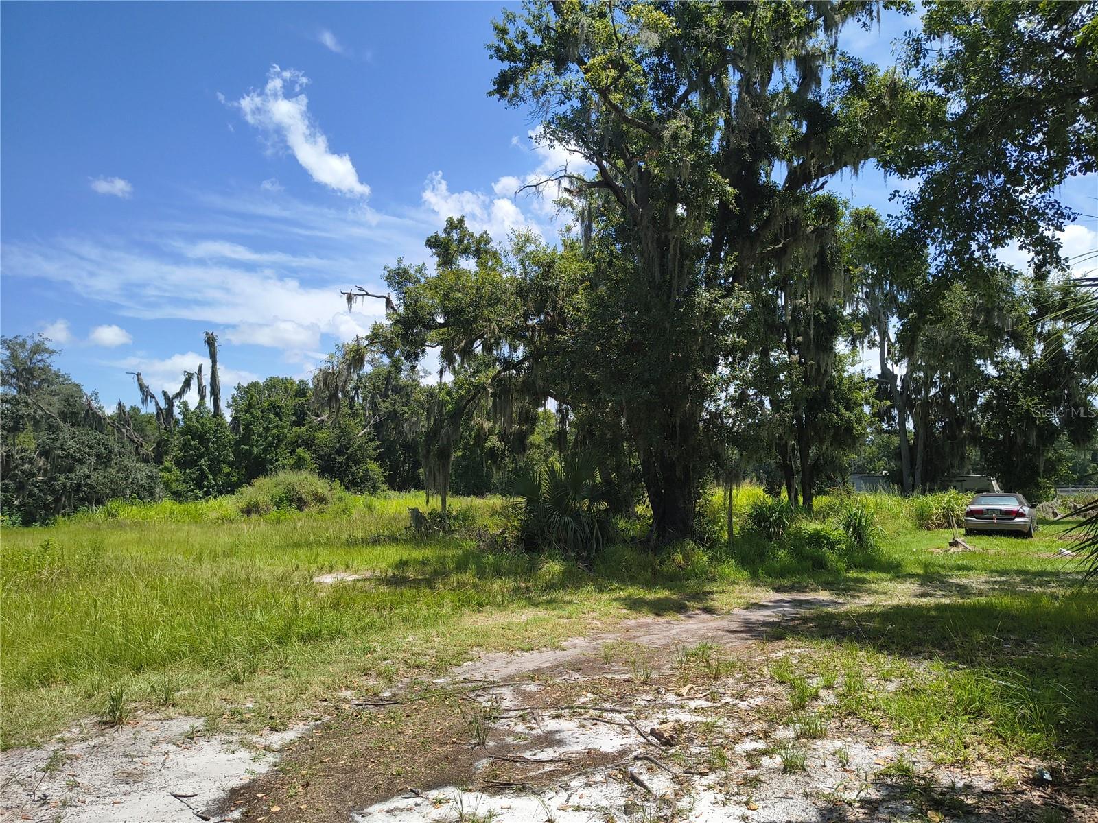Image 6 of 15 For Willie White Lane