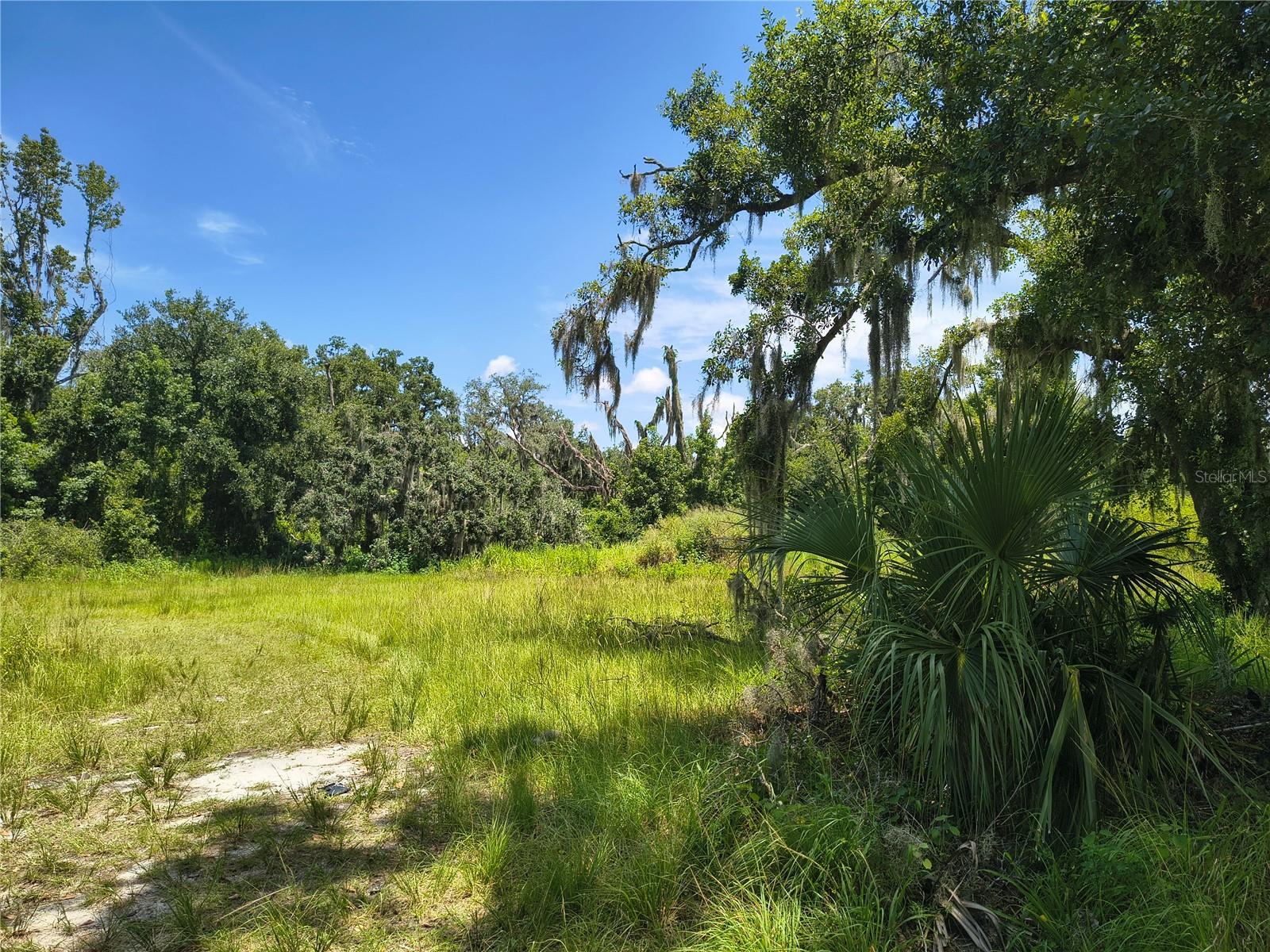 Image 9 of 15 For Willie White Lane
