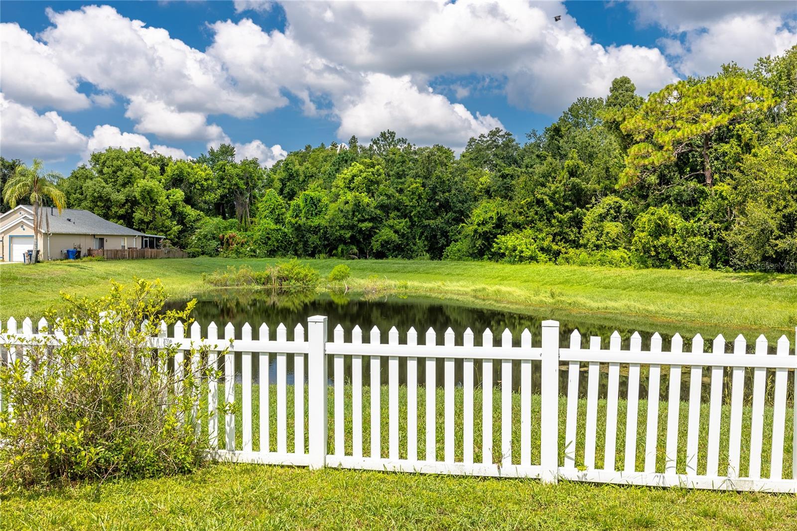 Image 32 of 34 For 13133 Carrollwood Creek Drive