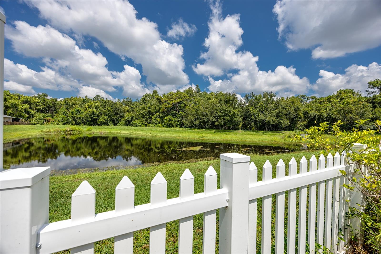 Image 33 of 34 For 13133 Carrollwood Creek Drive