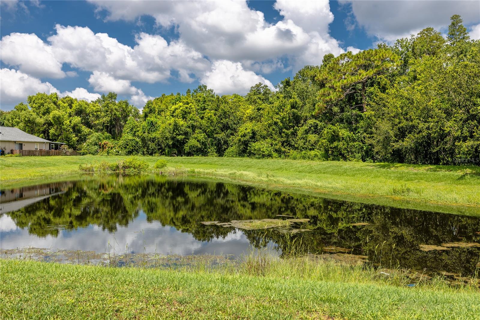Image 34 of 34 For 13133 Carrollwood Creek Drive