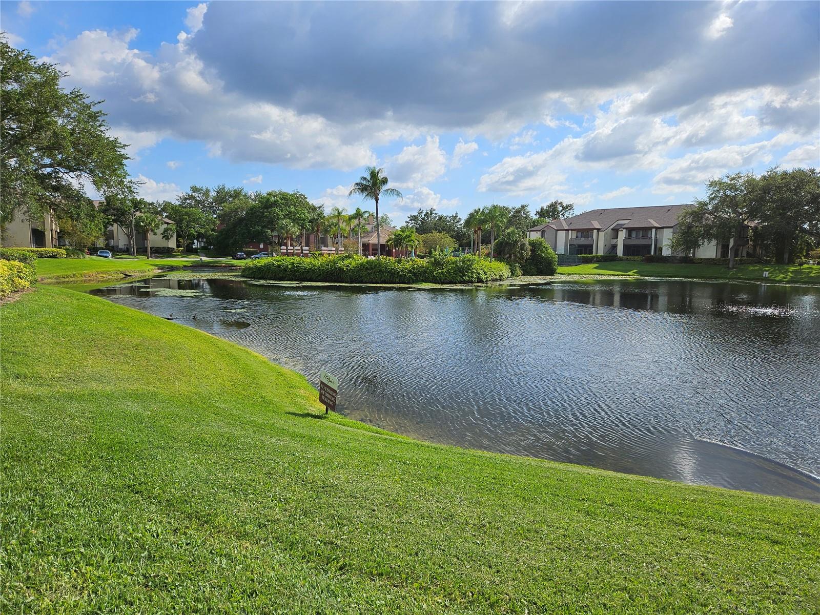 Image 10 of 23 For 10265 Gandy Boulevard N 1113
