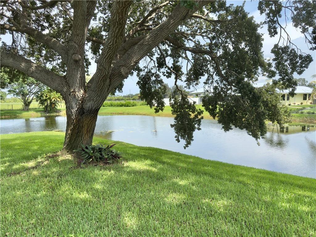 Image 33 of 36 For Address Not Provided