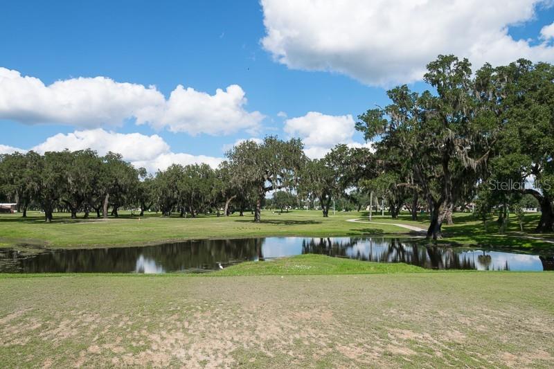 Listing photo id 36 for 6533 Brentwood Drive