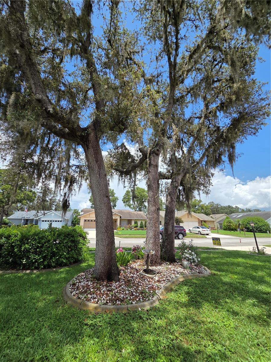 Listing photo id 8 for 9902 Saint Joseph Court