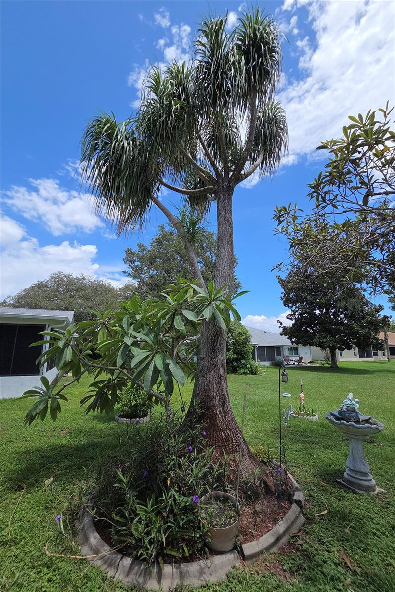 Listing photo id 40 for 9902 Saint Joseph Court