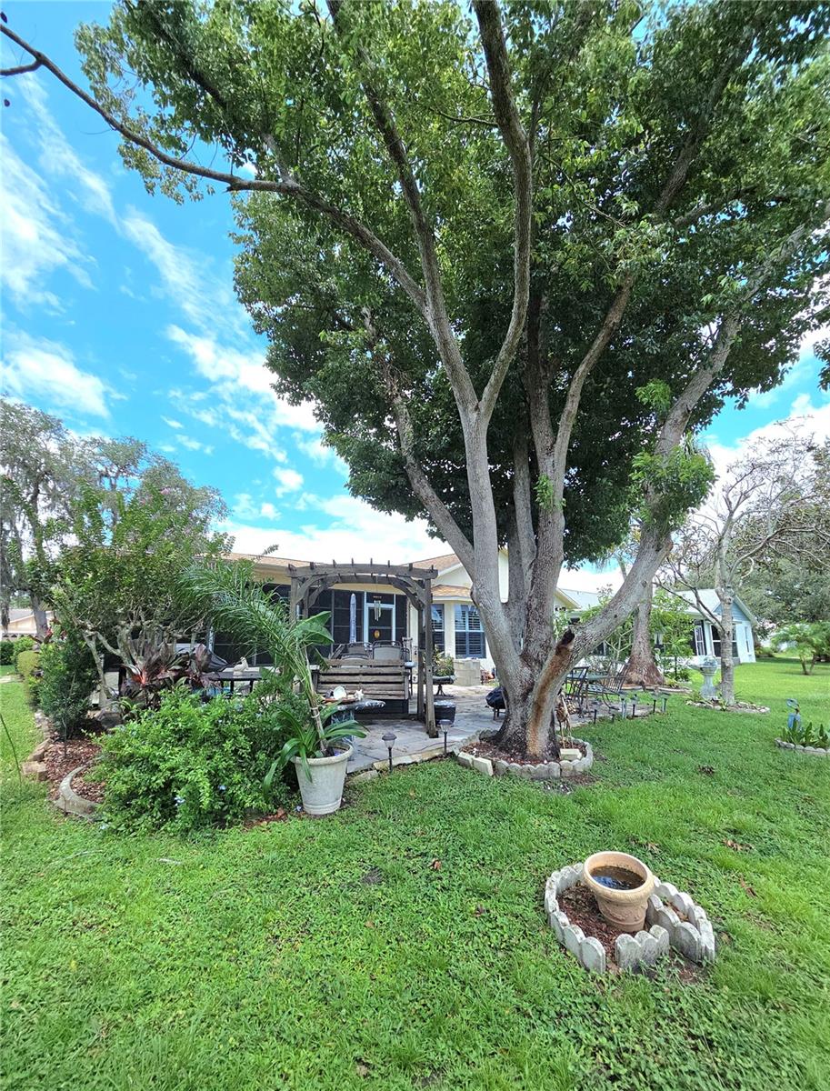 Listing photo id 41 for 9902 Saint Joseph Court