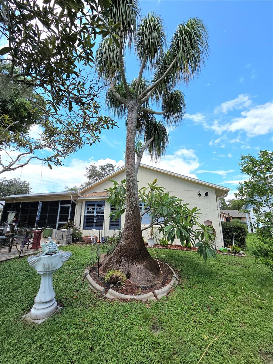 Listing photo id 43 for 9902 Saint Joseph Court