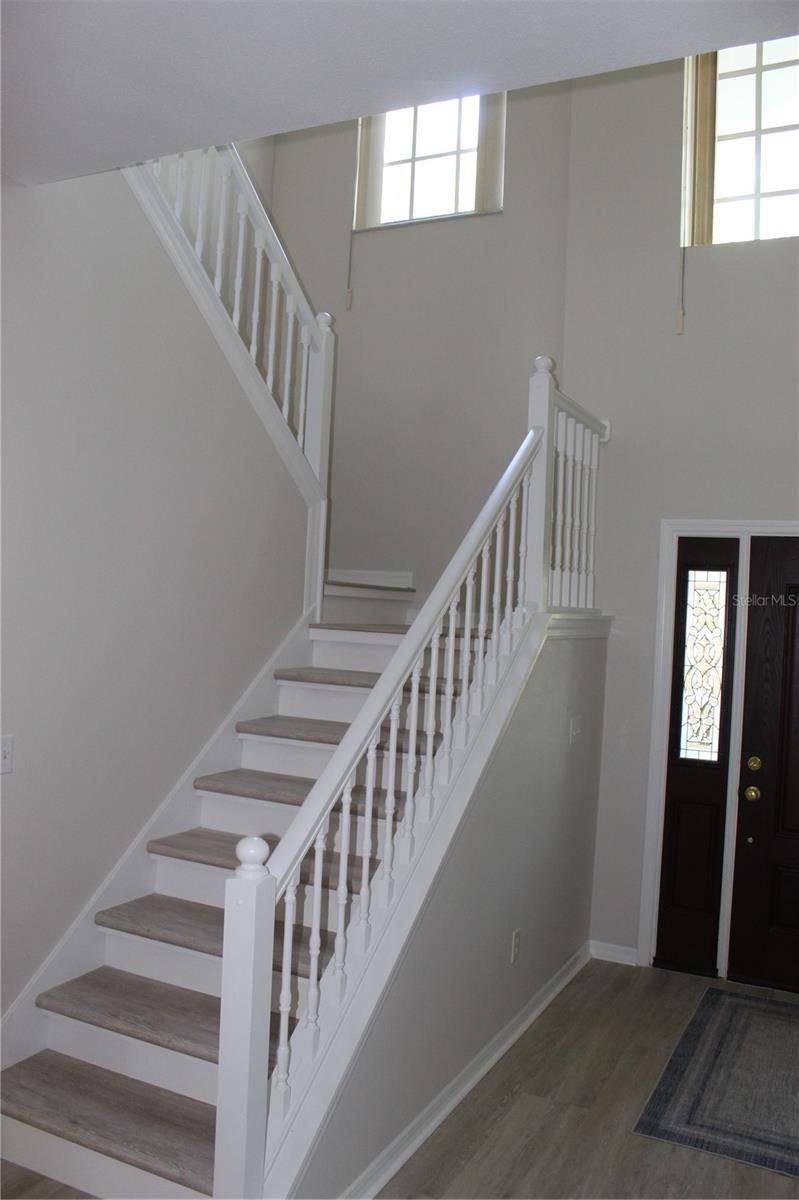 Image 16 of 35 For 11737 Carrollwood Cove Drive