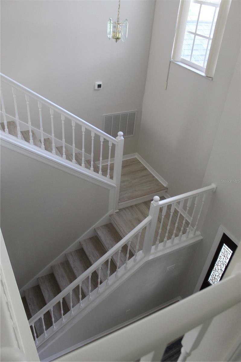 Image 38 of 41 For 11737 Carrollwood Cove Drive
