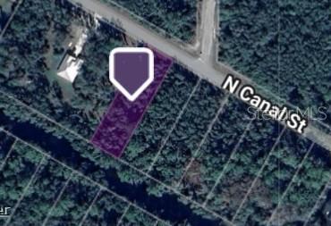 Listing Details for Canal Street, WEBSTER, FL 33597