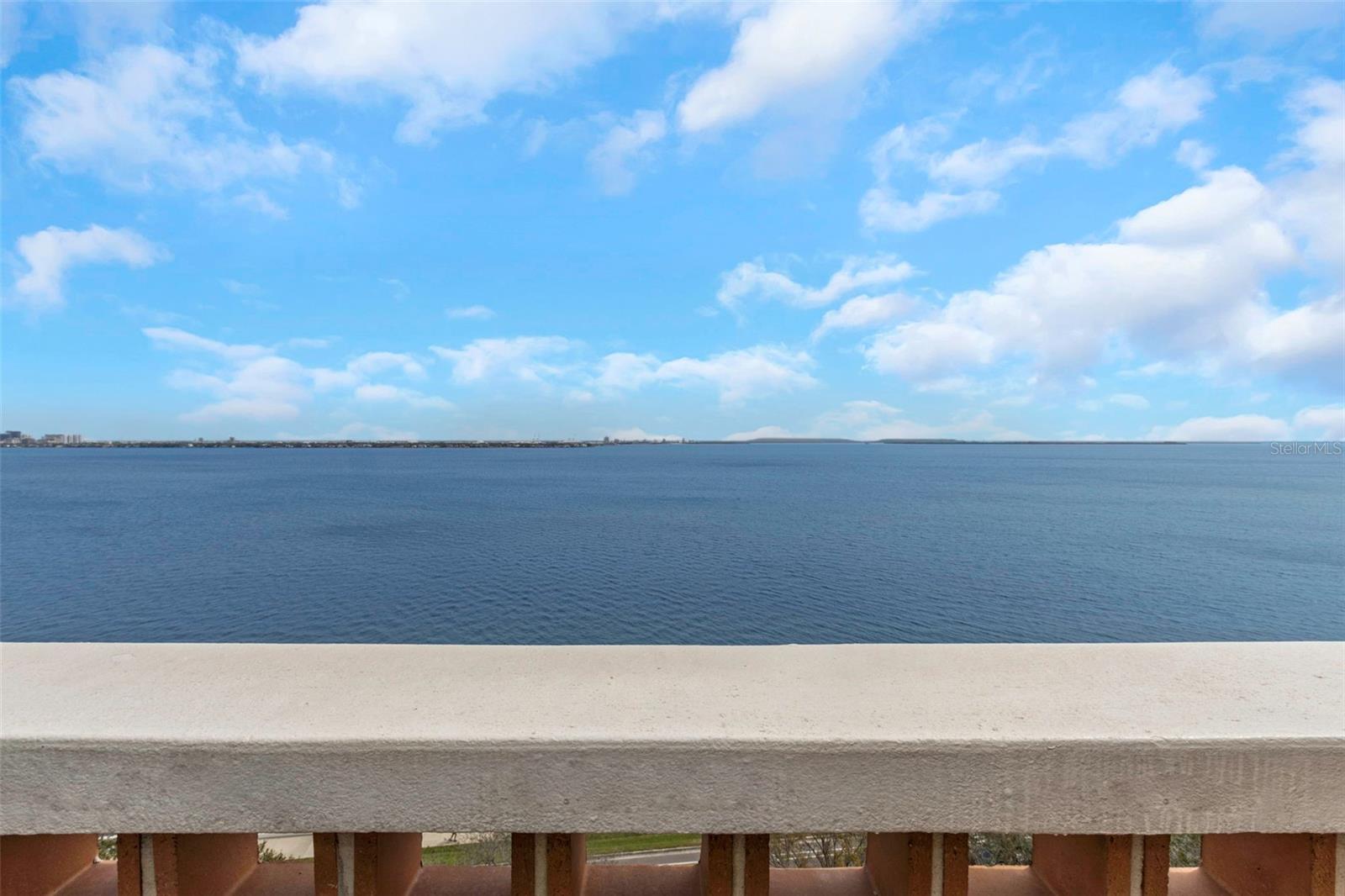 Image 8 of 32 For 4015 Bayshore Boulevard 11a