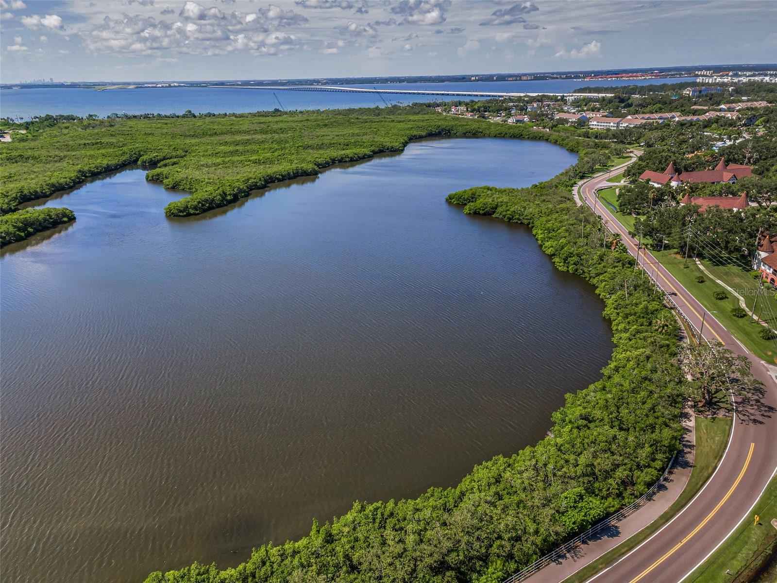 Image 8 of 93 For 320 Bayshore Boulevard 107