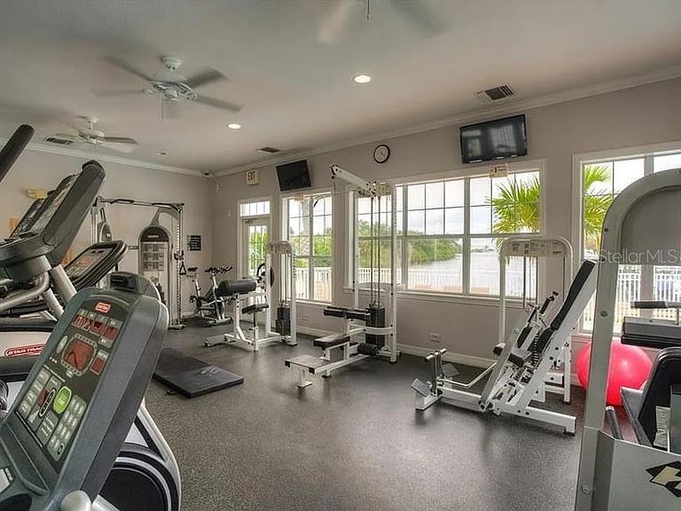 Image 45 of 57 For 5000 Culbreath Key Way 8-115