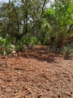 Listing photo id 1 for 18429 Retriever Road